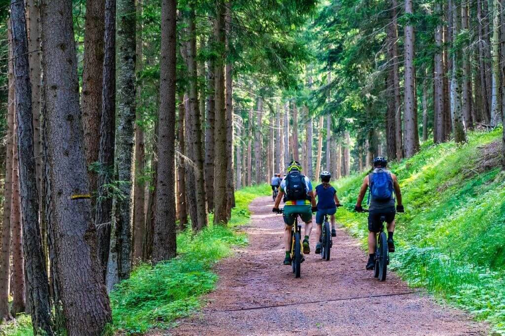 En savoir plus sur Profiter d’une randonnée VTT en Vendée