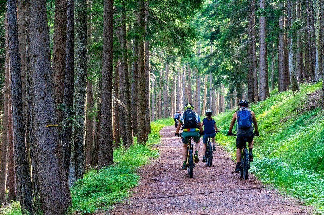 vacances sportives saint hilaire de riez
