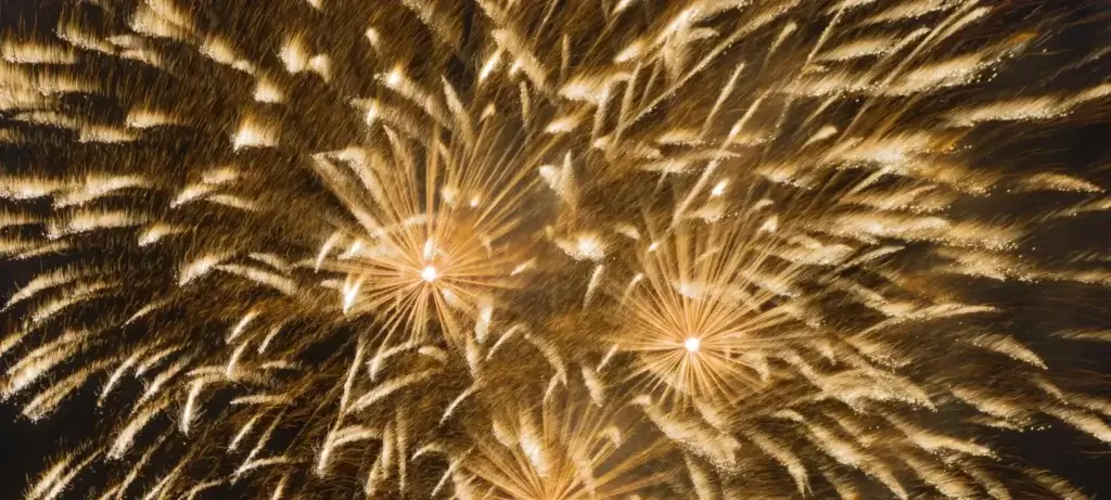 En savoir plus sur Festival de Vendée en 2025 : vibrez au son des évènements de la région
